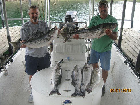 Nice Striped Bass